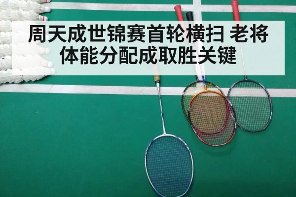 badminton match court